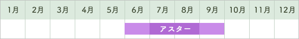 アスター出荷時期カレンダー