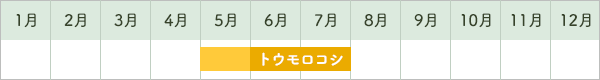 とうもろこし出荷時期カレンダー